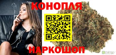 дмт Малгобек
