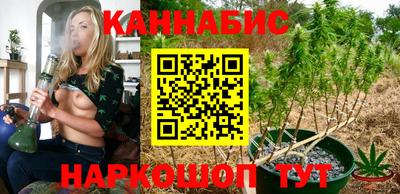 дмт Малгобек