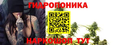 мдпв Мариинск