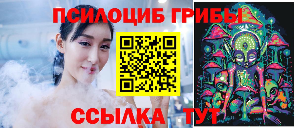 Псилоцибиновые грибы прущие грибы  Псилоцибиновые грибы Cubensis  Вход с VPN  Озёрск 